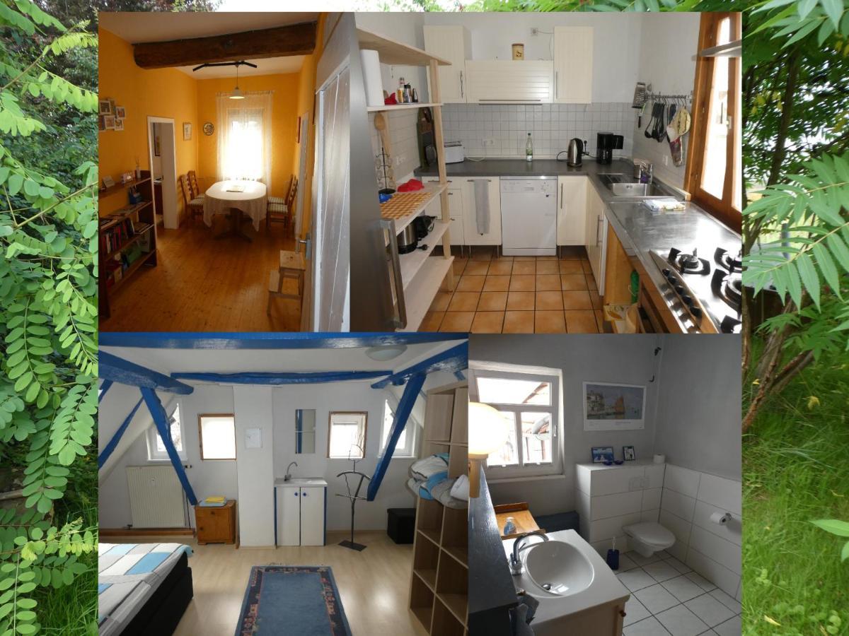 Am Backhaus Apartment Krofdorf-Gleiberg Bagian luar foto
